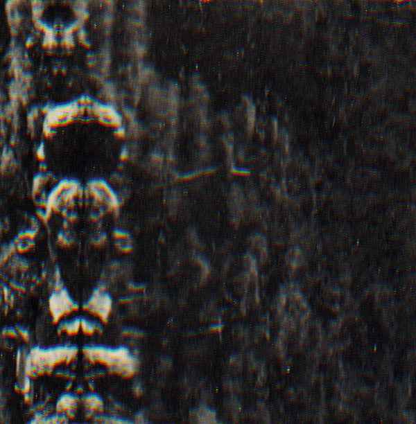 O MORTO - The Forest, The People And The Spirits [Vinyl]