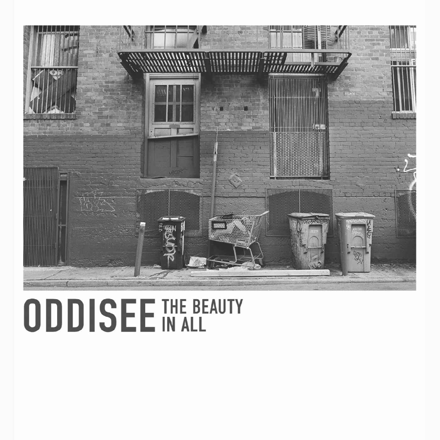 Oddisee - The Beauty In All (WHITE VINYL) [Vinyl]