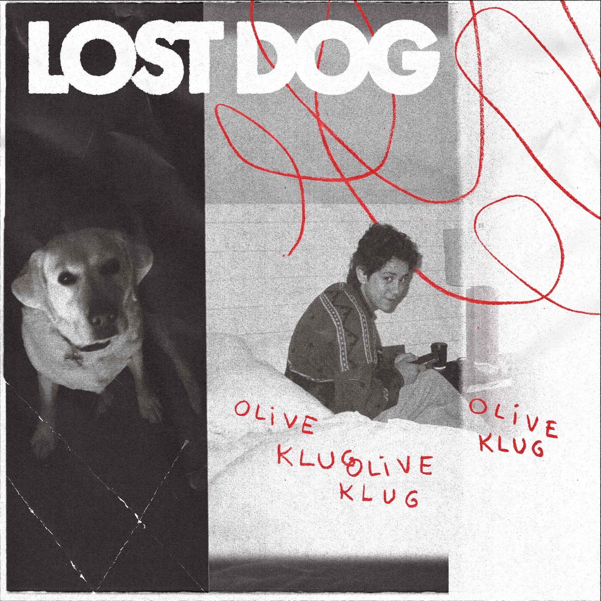 Lost Dog [CD]