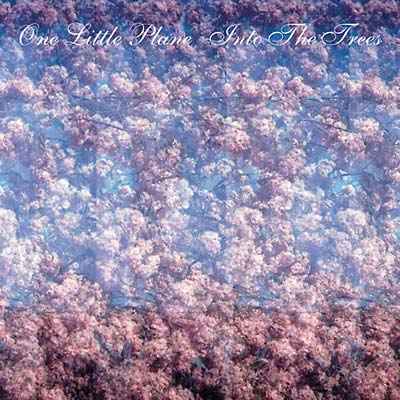 Into The Trees [CD]