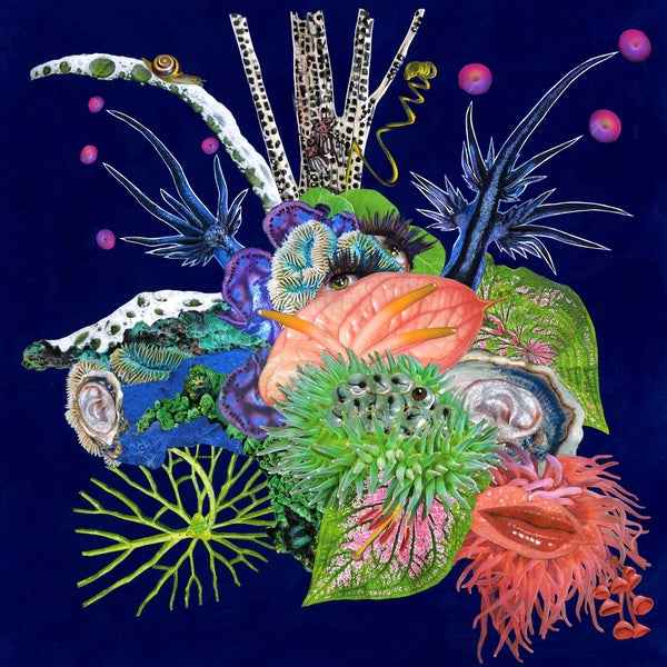 Touche [CD]