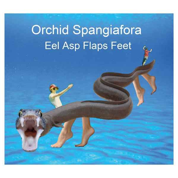 Eel Asp Flaps Feet [CD]