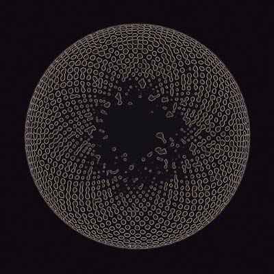 Organ Eye [CD]