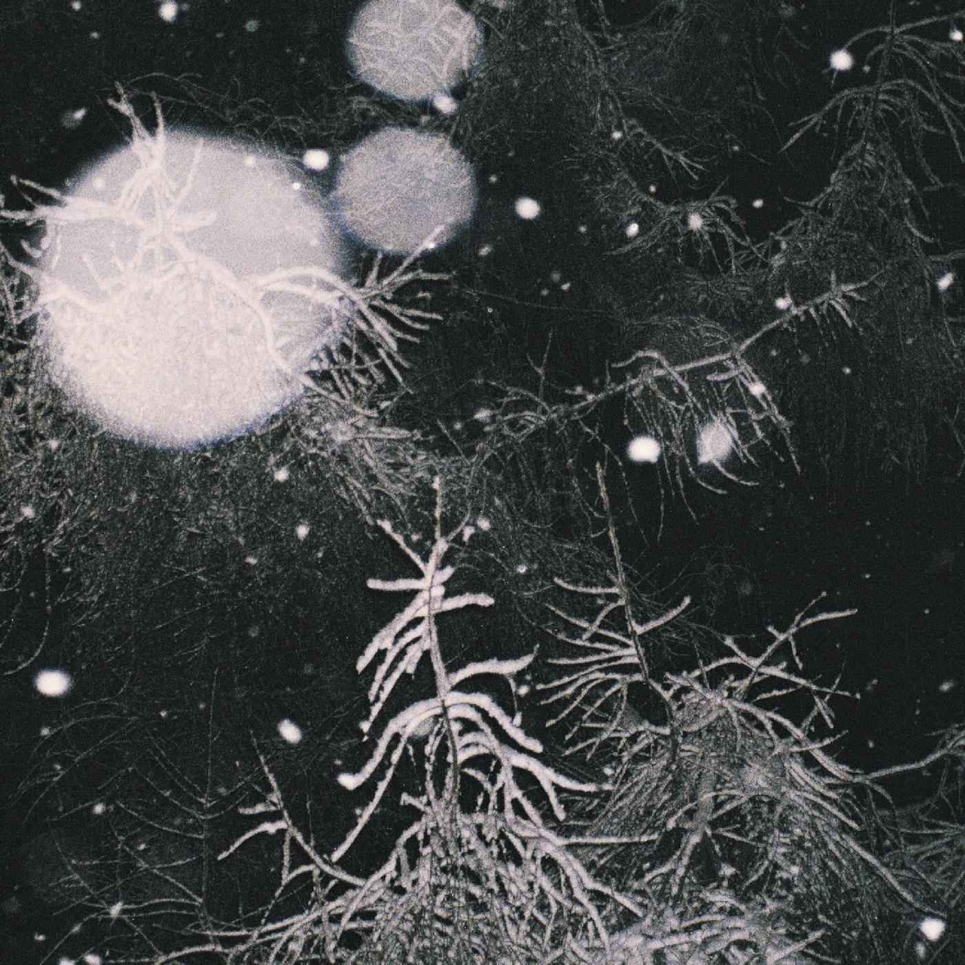 Over The Voids [CD]