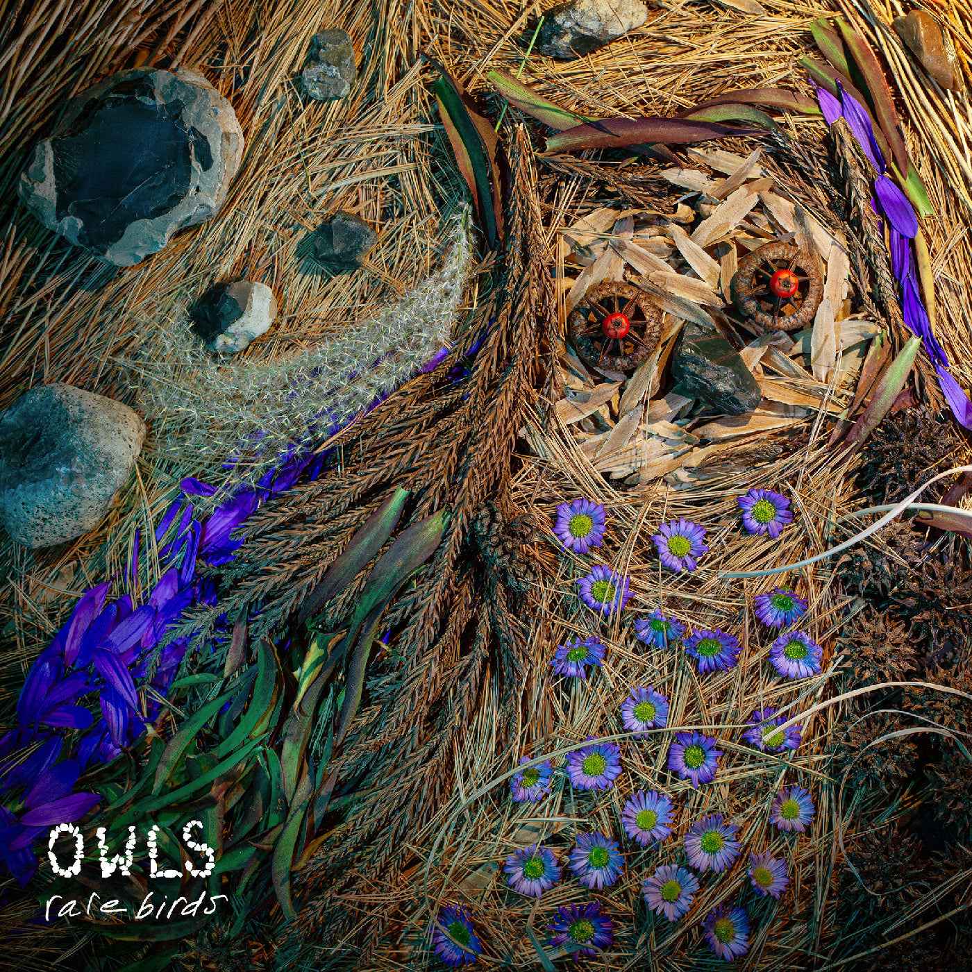 Rare Birds [Vinyl]