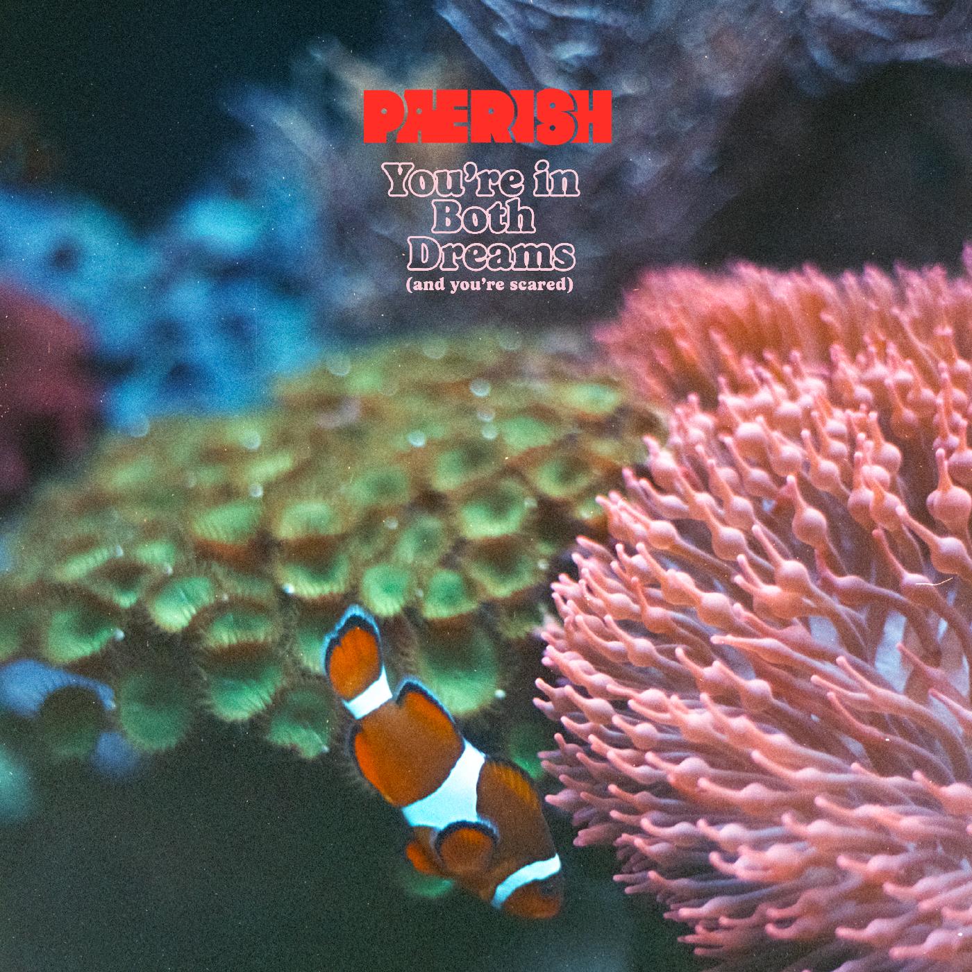 You're in both dreams (and you're scared) [Vinyl]