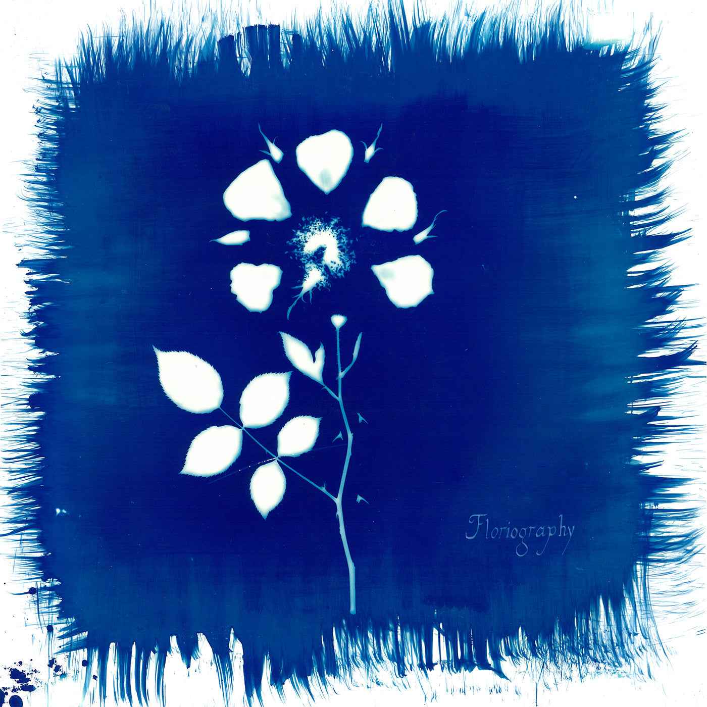 Floriography [CD]