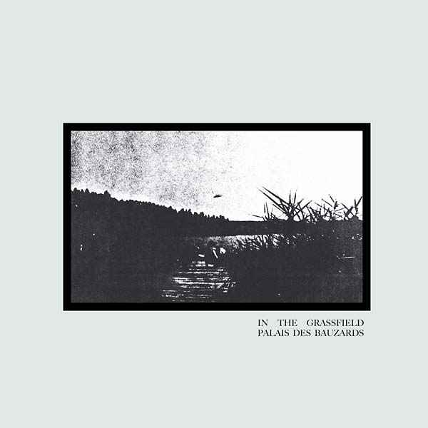 PALAIS DES BAUZARDS - In the Grassfield [Vinyl]