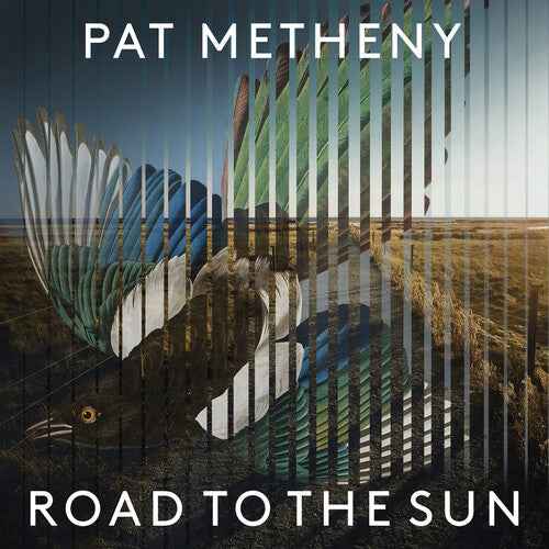 Road To The Sun (2 Lp's) [Vinyl]