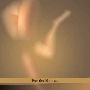For The Moment [CD]