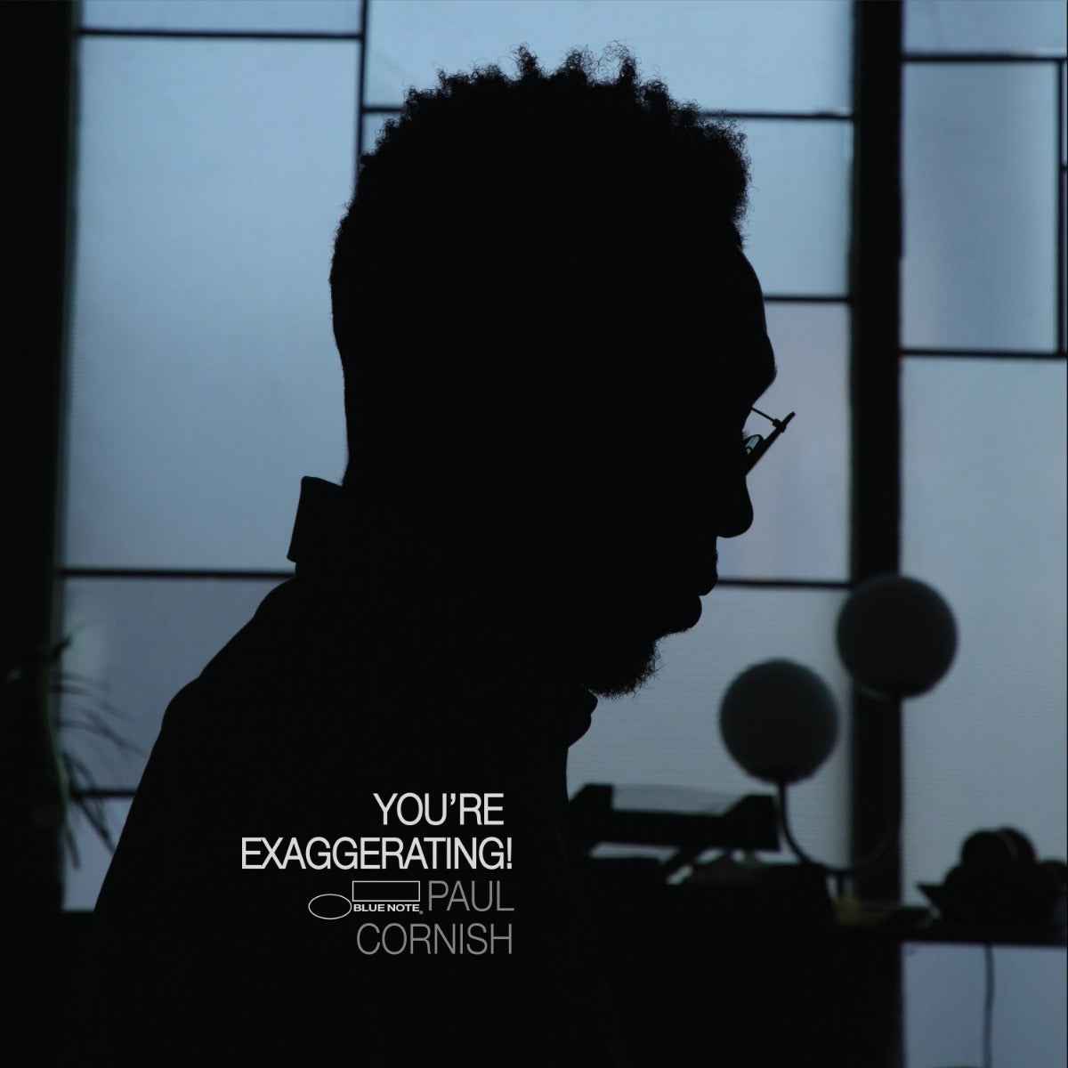 You'Re Exaggerating! [180G Lp] [Vinyl]