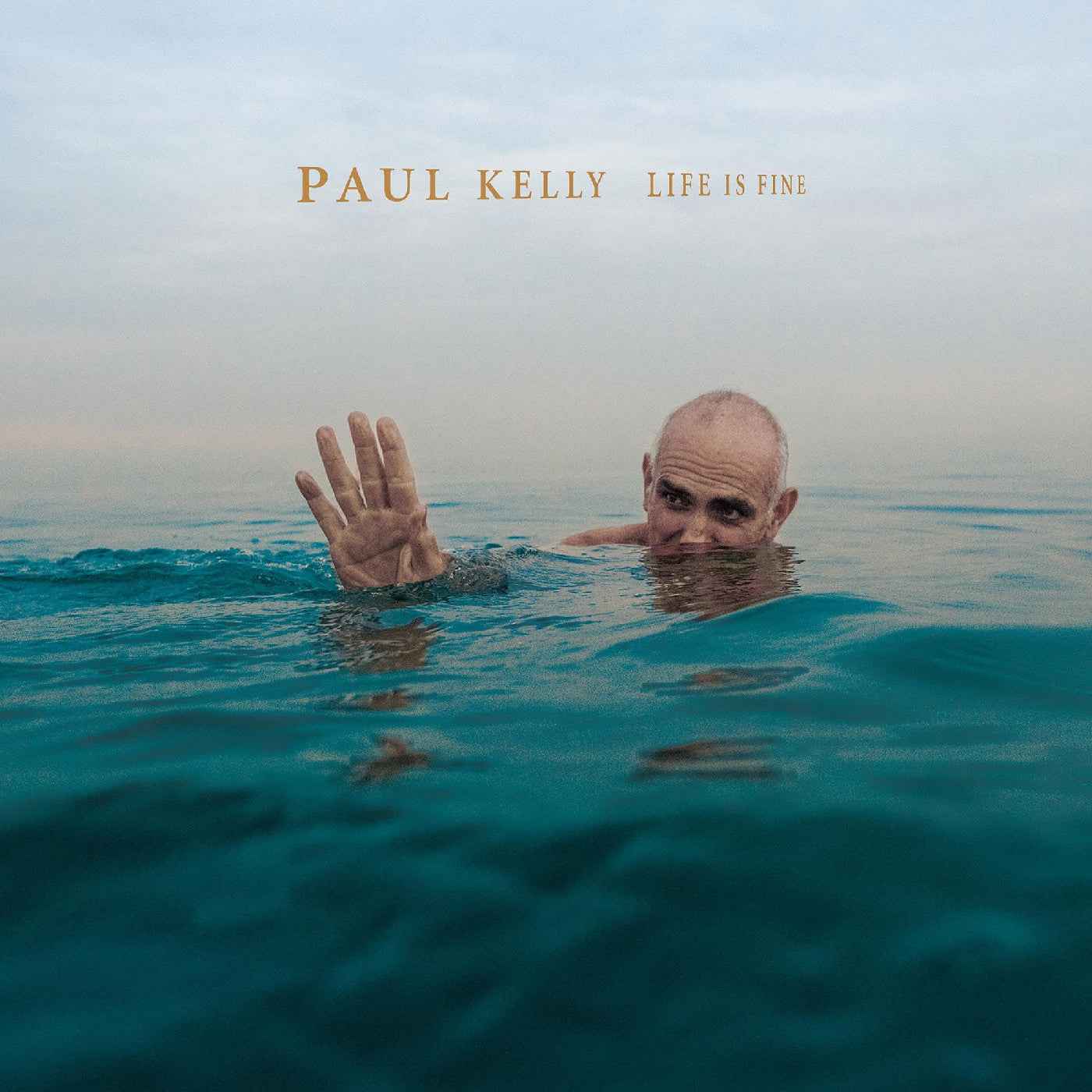 Life Is Fine [CD]