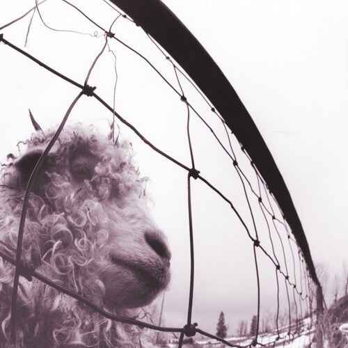Vs. (Clear Vinyl) [Vinyl]