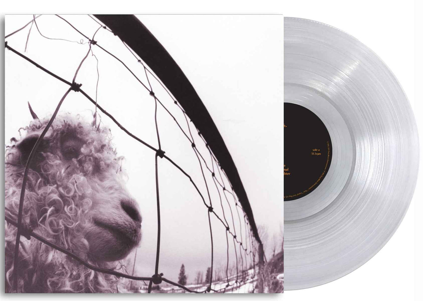 Vs. (Clear Vinyl) [Vinyl]