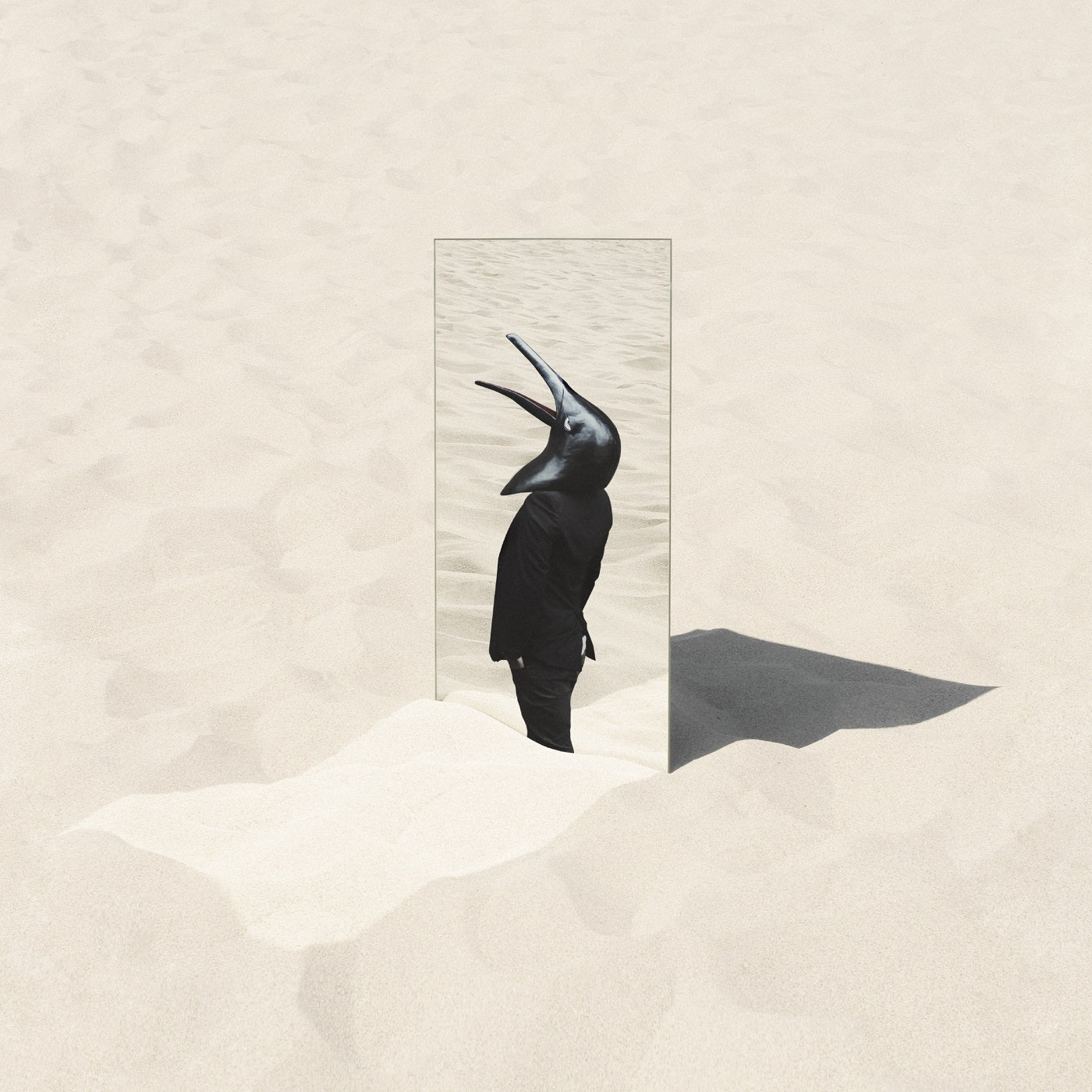 The Imperfect Sea [Vinyl]
