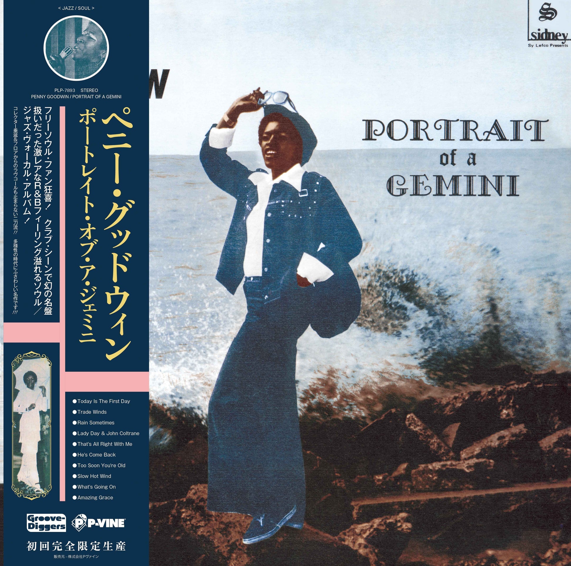 Portrait Of A Gemini [Vinyl]