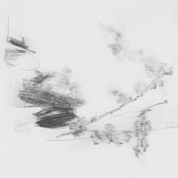 The Air Outside Feels Crazy Right Now [Vinyl]