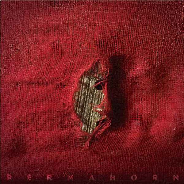 My Blood Carries My Dreams Away [CD]