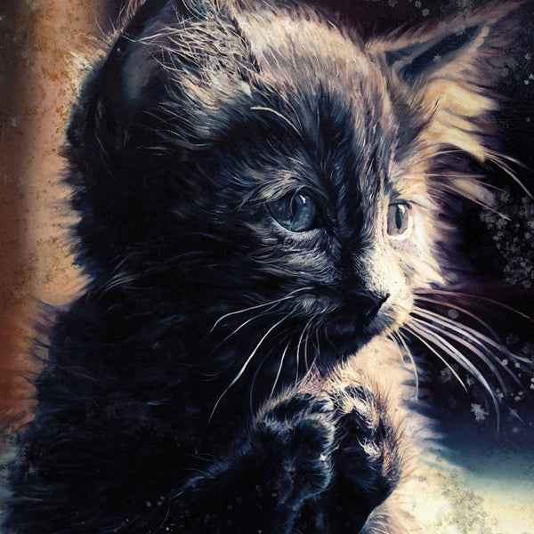 Perzeptiver Dampfkessel Qualmt Besinnlich - Pussy Disco [CD] [CD]