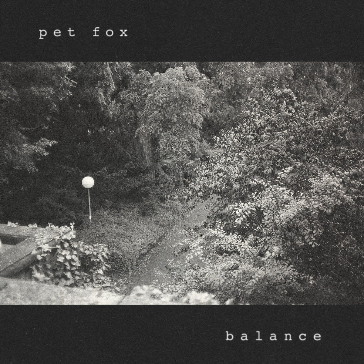 PRE-ORDER: Pet Fox - Balance (Cobweb Colored Vinyl) [Vinyl]