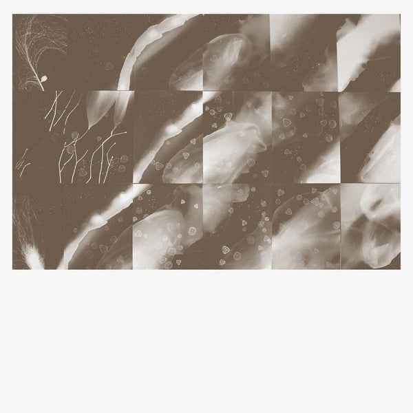 PETER KNIGHT - For A Moment The Sky Knew My Name [CD] [CD]