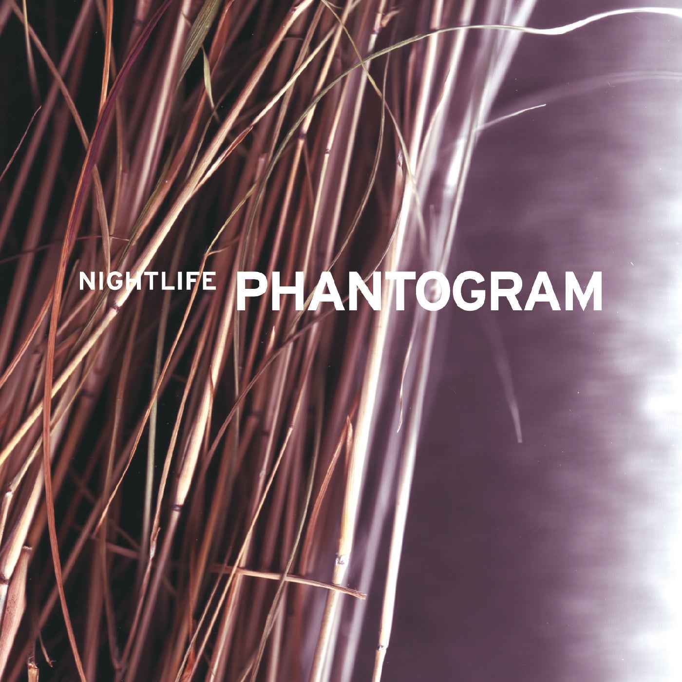 Nightlife (Purple Wave Vinyl) [Vinyl]