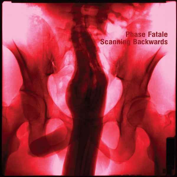 Scanning Backwards [Vinyl]