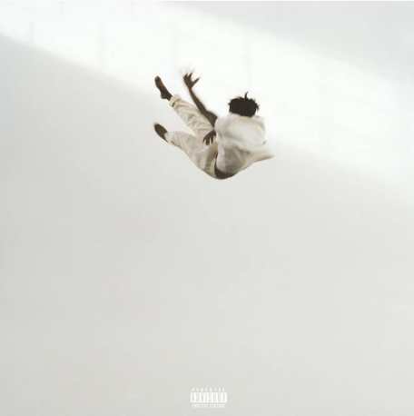 PRE-ORDER Daniel Caesar - Pilgrim’s Paradise (LP Transparent White & Black Marble) [Vinyl]