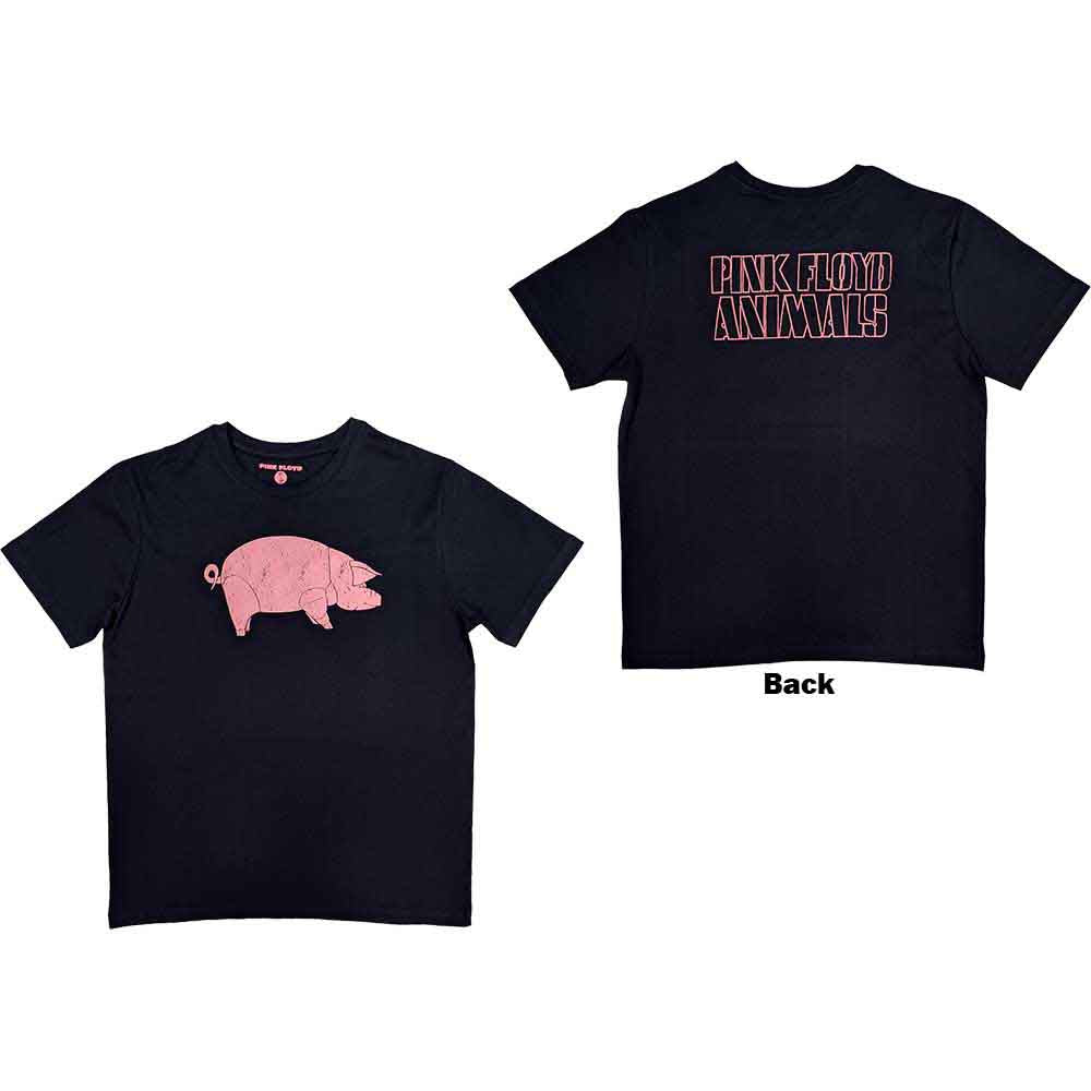 Pink Floyd AWBDG [T-Shirt] Blue