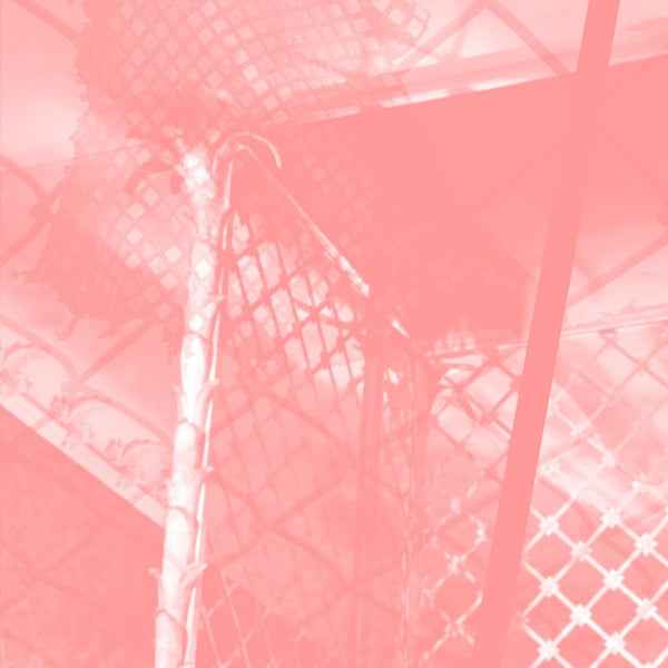 All Intensive Purposes [CD]