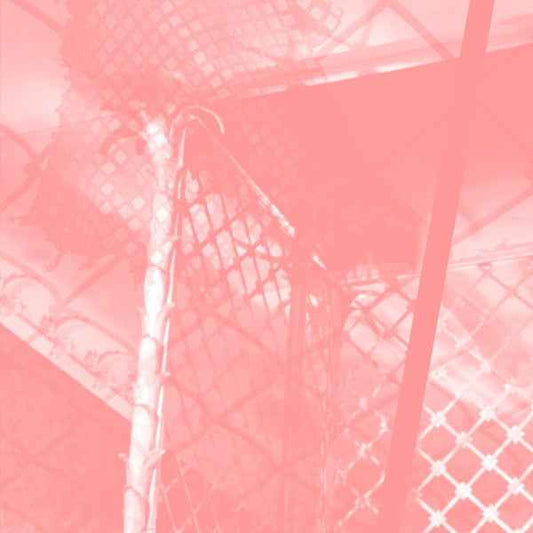 All Intensive Purposes [CD]