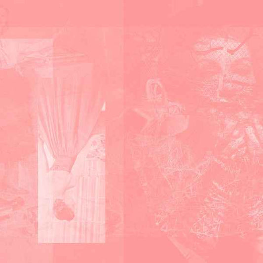 Arise In Sinking Feelings [CD]