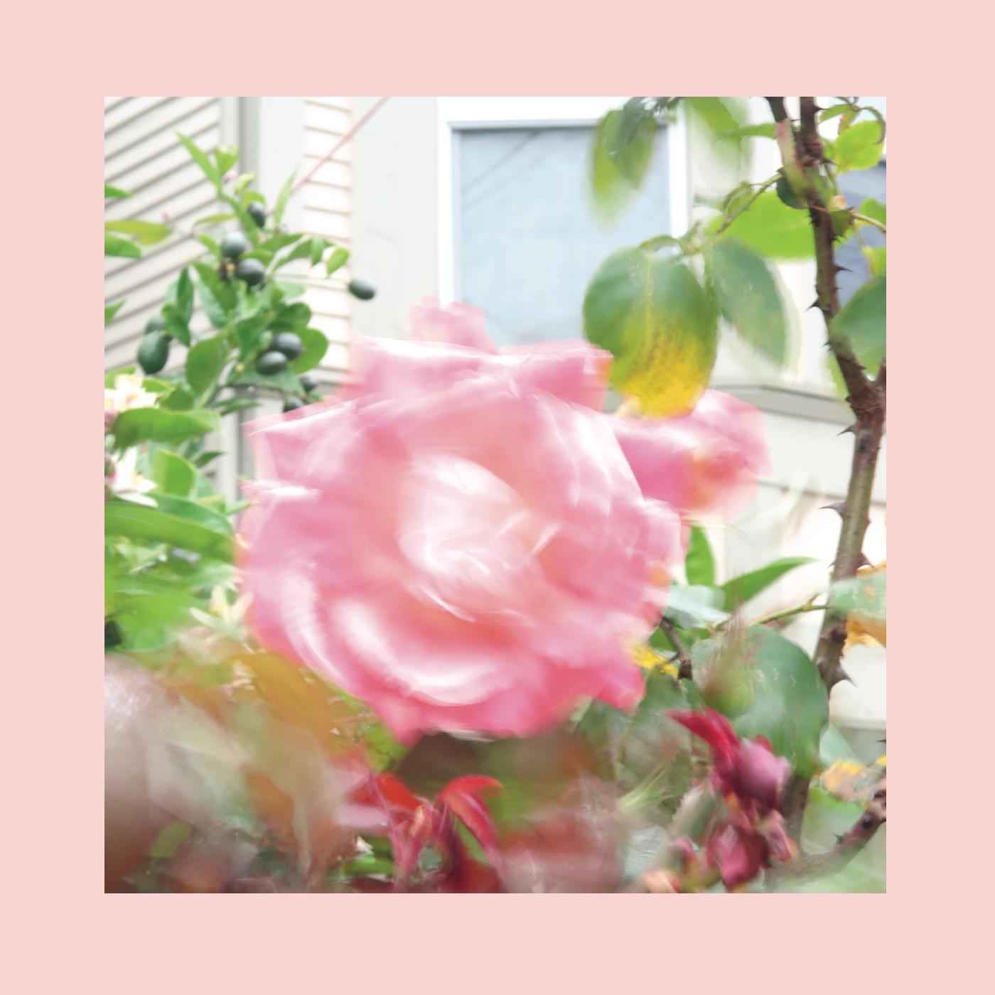 Pinks & Purples Reds - Summer At Land's End (GREEN VINYL) [Vinyl]