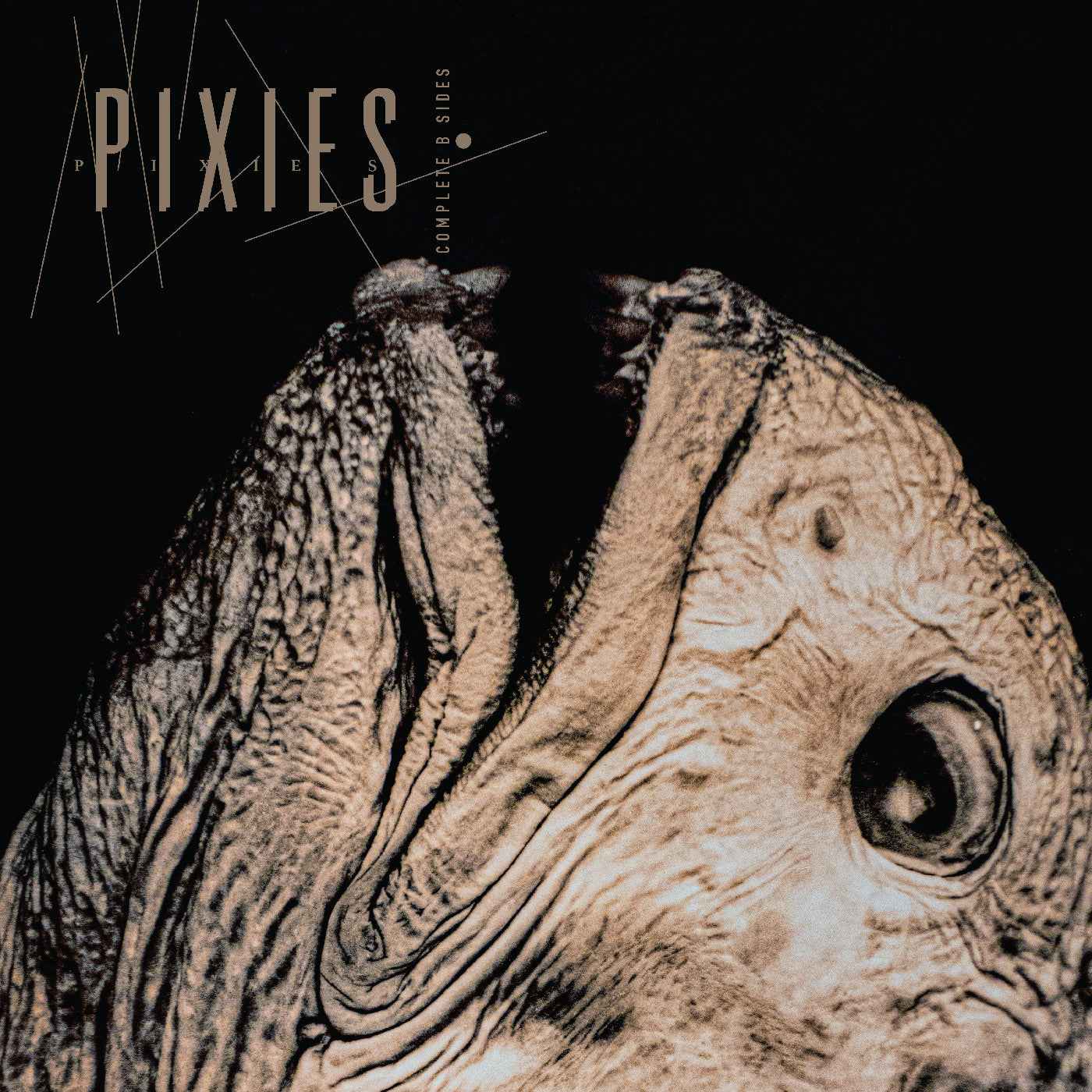 Pixies - Complete B Sides: 1988-97 [CD]