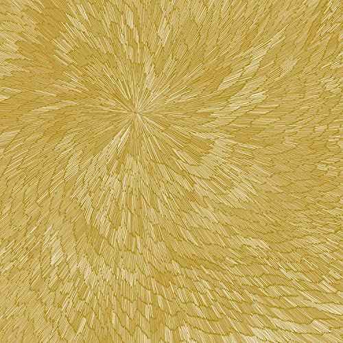 PJEV/Kit Downes/Hayden Chisholm - Medna Roso [LP] [Vinyl]