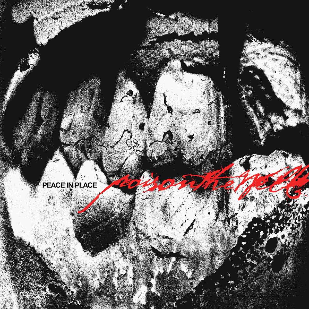 Peace In Place [CD]