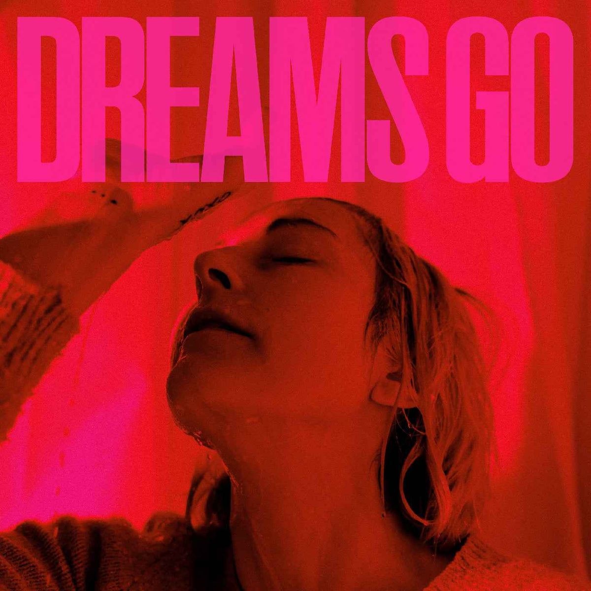 Dreams Go [Vinyl]