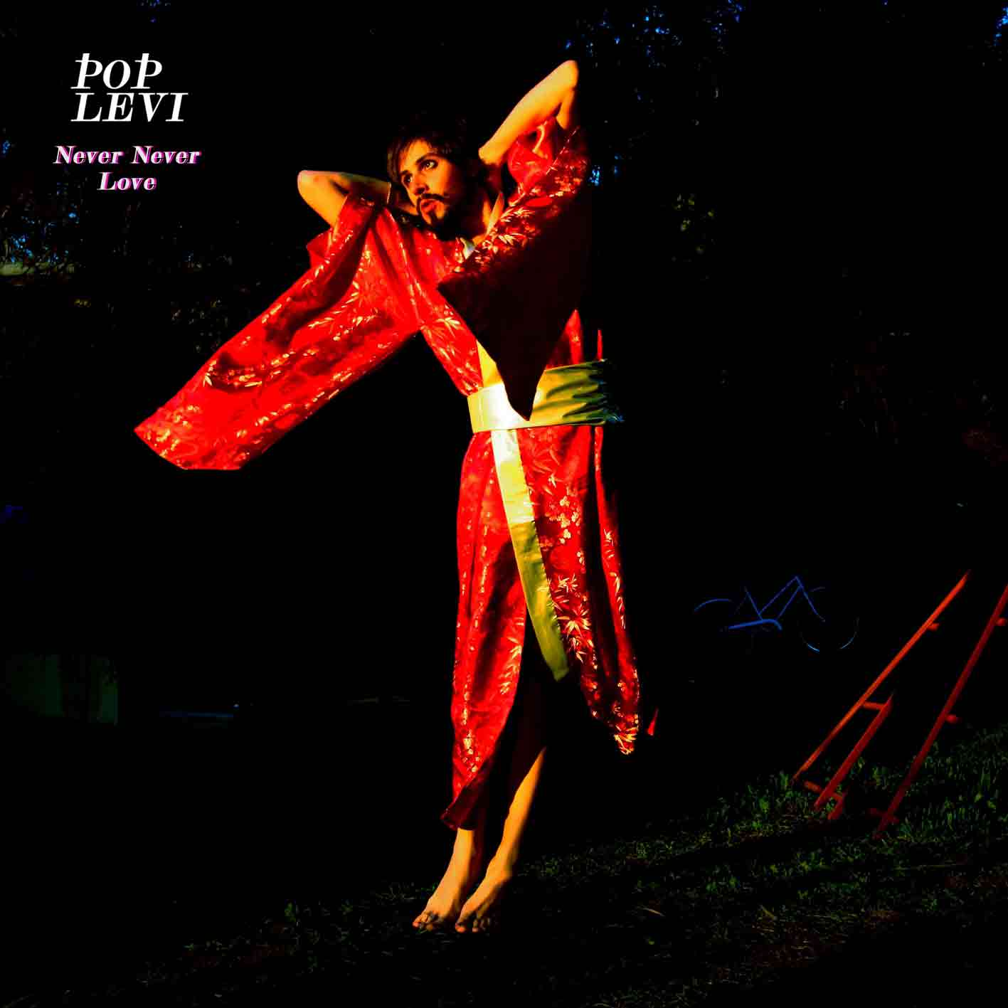 Pop Levi - Never Never Love [Vinyl]