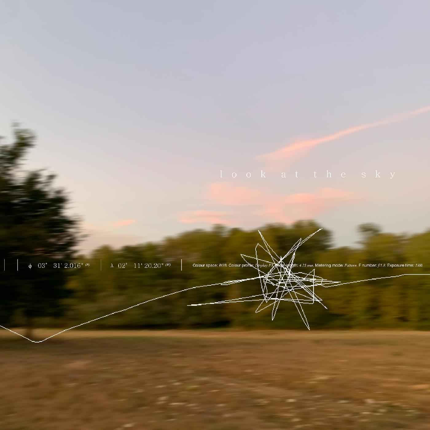 Look At The Sky (Indie Exclusive) [Vinyl]
