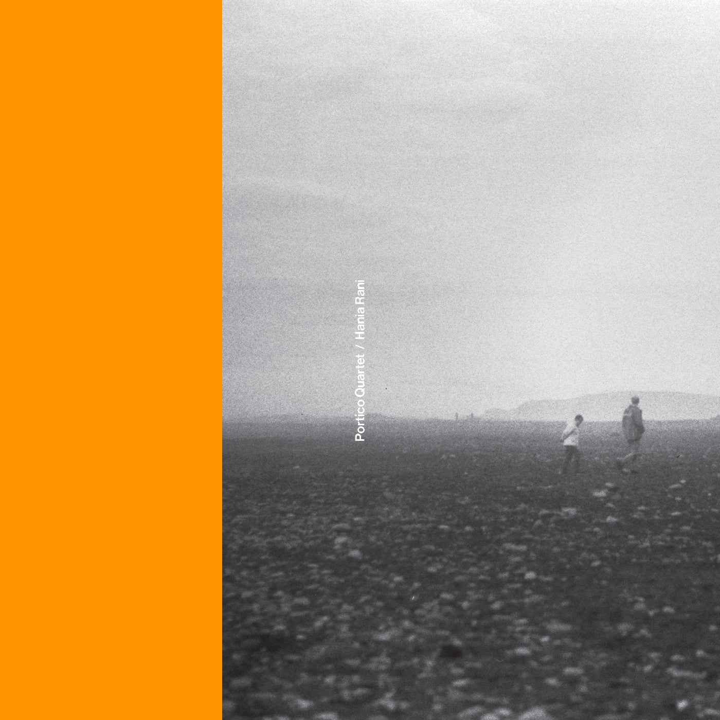 Portico Quartet / Hania Rani [Vinyl]