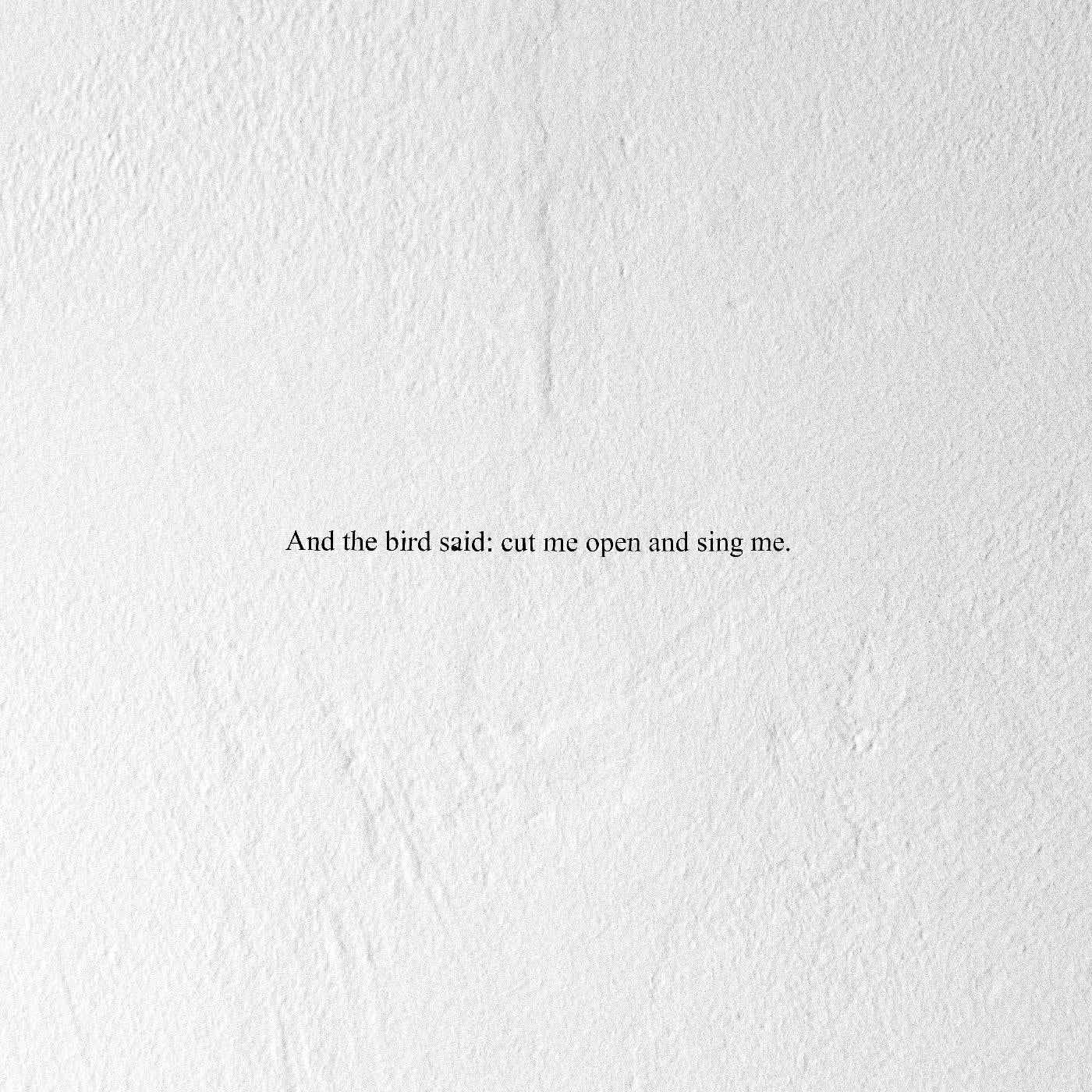 And the Bird Said: Cut Me Open and Sing Me [CD]