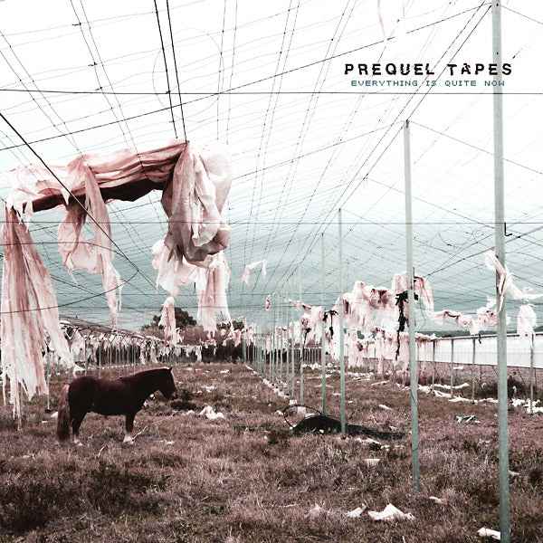 Prequel Tapes - Everything Is Quite Now [Vinyl]