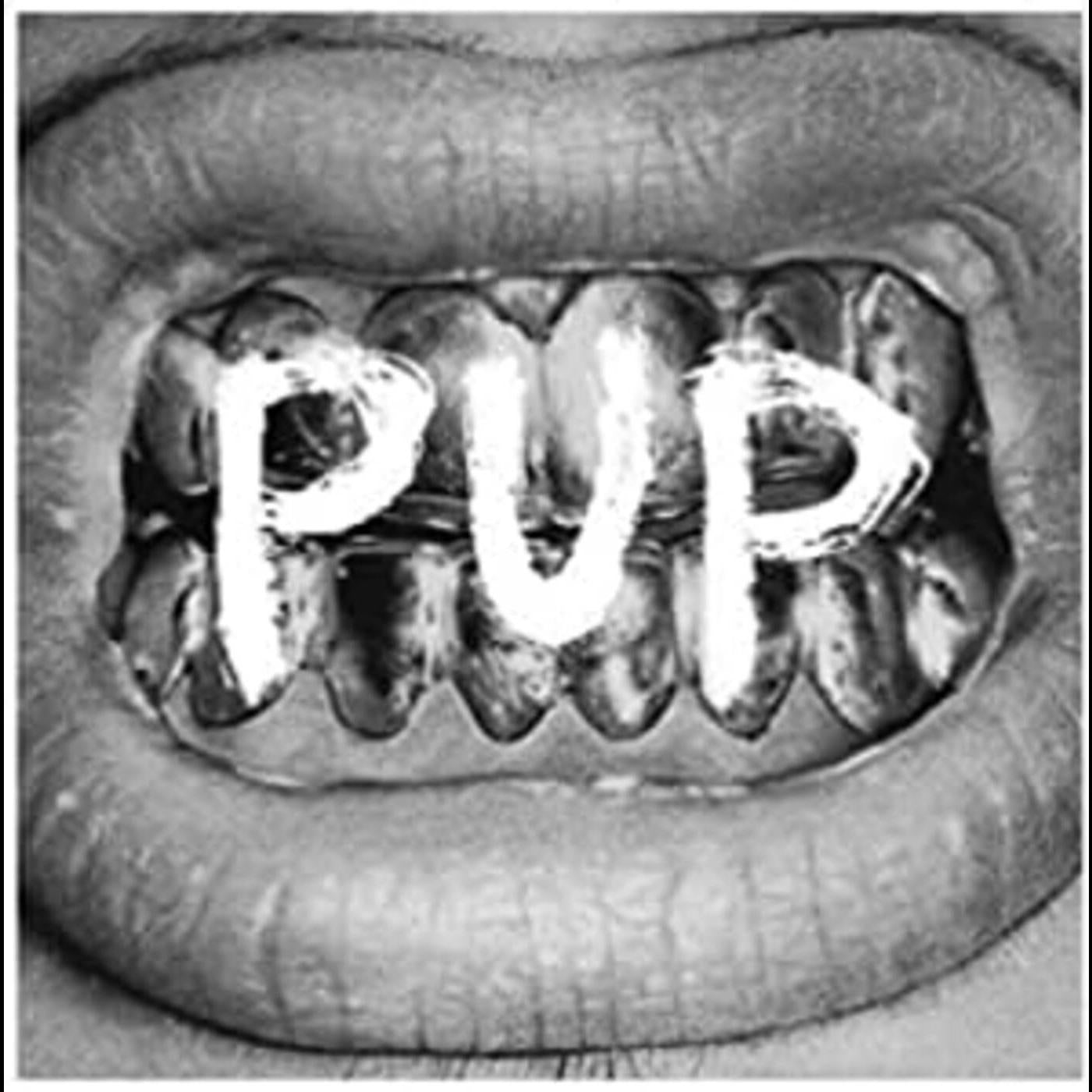 Pup [Vinyl]
