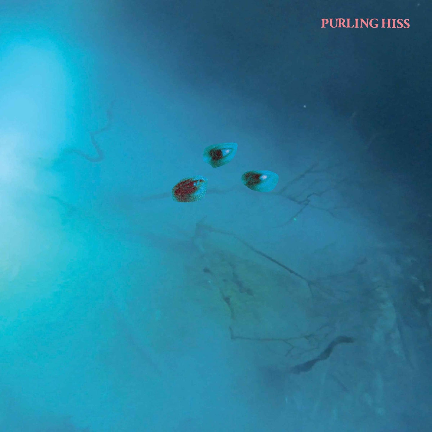 High Bias [CD]