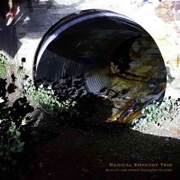Reality and Other Imaginary Places [CD]