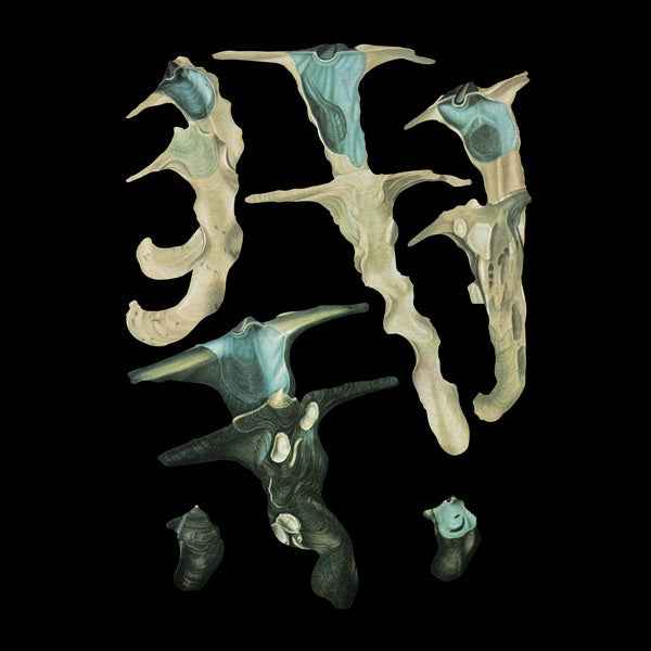 Jellyfish Reproduce Black Magic [Vinyl]