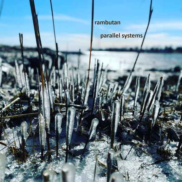 Parallel Systems [CD]