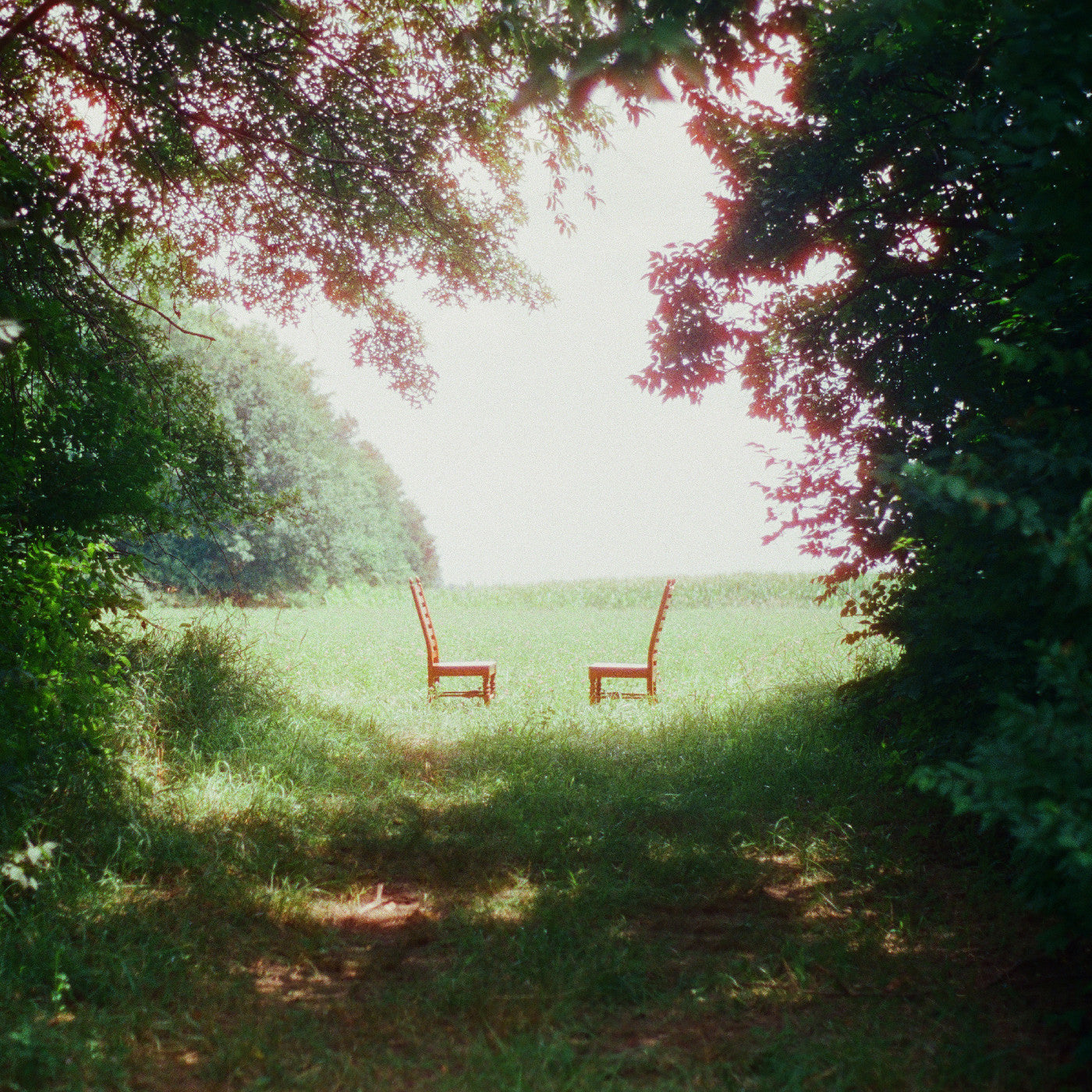 Singin' To An Empty Chair (Indie Exclusive, Green And Brown Marble Vinyl) [Vinyl]