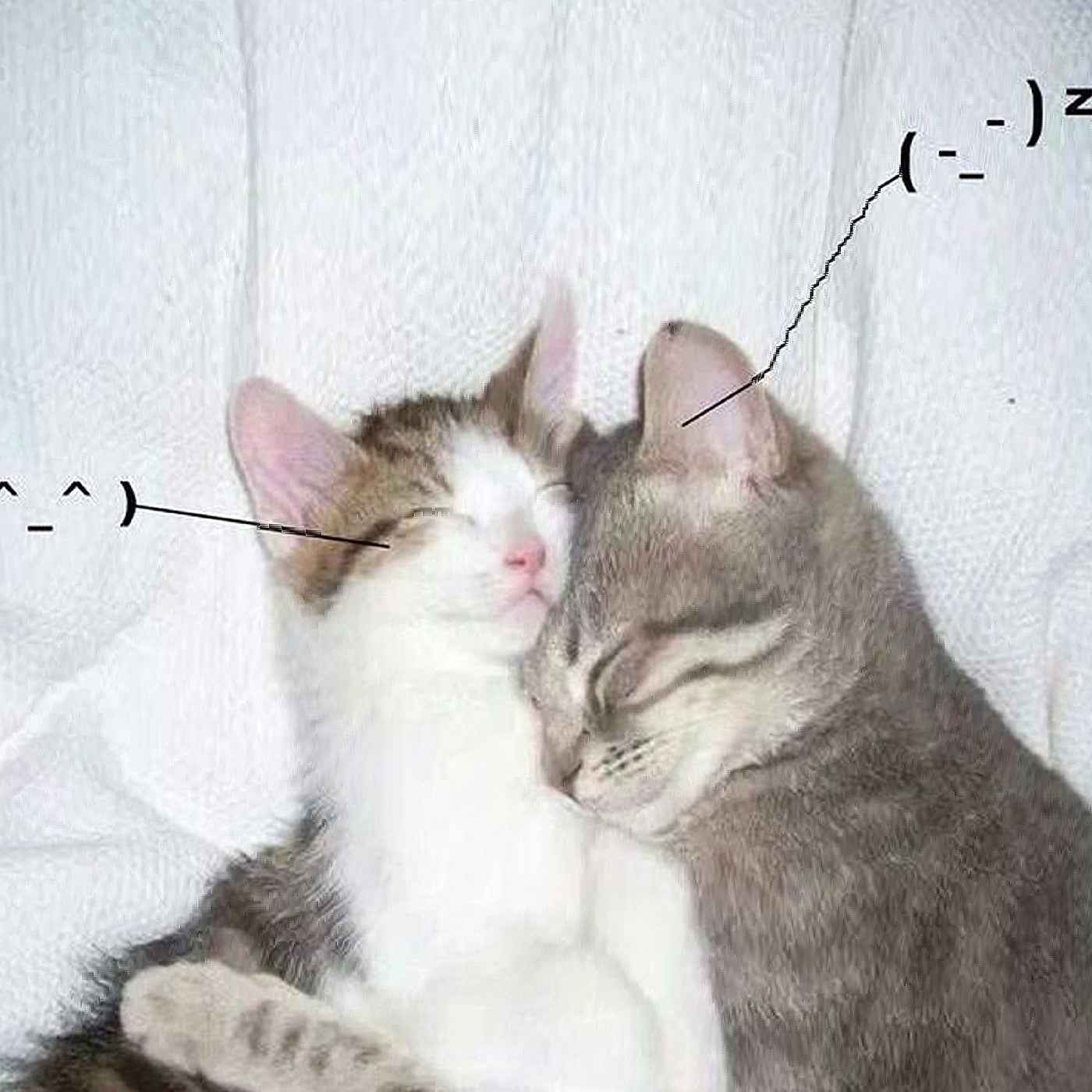 I Love You So!