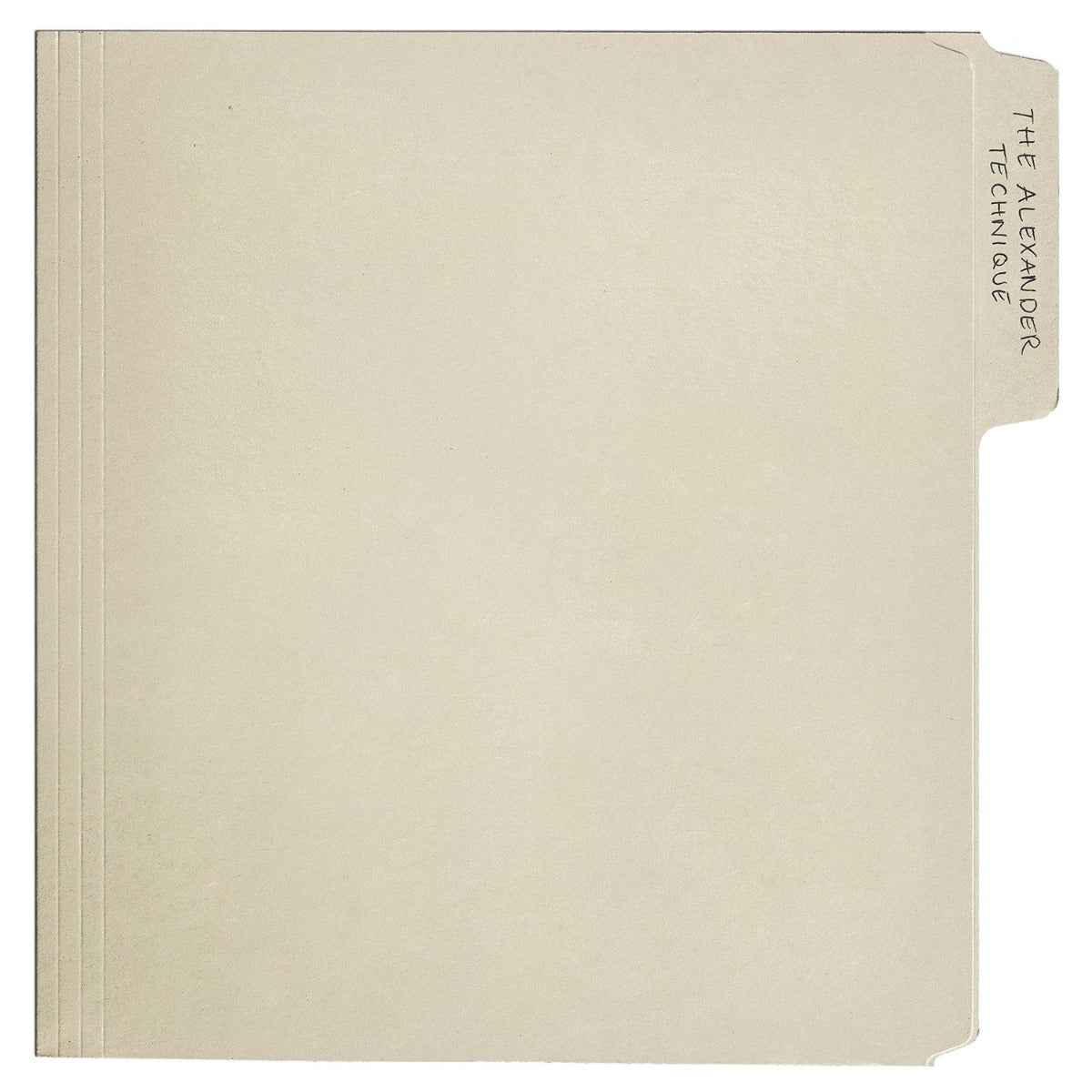 Rex Orange County - The Alexander Technique [Explicit Content] (Gatefold LP Jacket, Poster) (2 Lp's) [Vinyl]